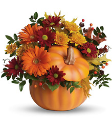 Country Pumpkin Cottage Florist Lakeland Fl 33813 Premium Flowers lakeland